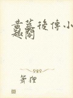 黄蓉后传小说笔趣阁封面