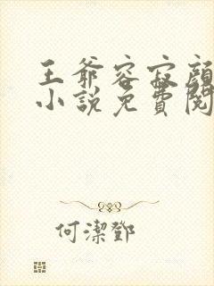 王爷容寂颜清月小说免费阅读最新章