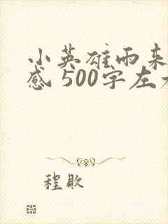 小英雄雨来读后感 500字左右