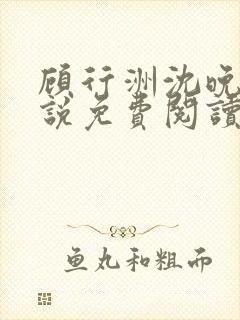 顾行洲沈晚宁小说免费阅读最新章节