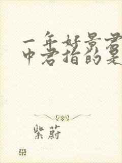 一年好景君须记中君指的是封面