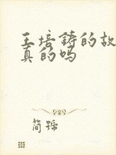 王培铸的故事是真的吗封面