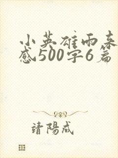 小英雄雨来读后感500字6篇
