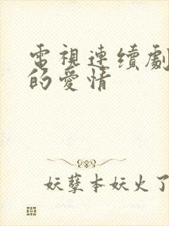 电视连续剧父母的爱情