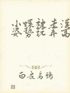 小蝶被老汉各种姿势玩弄高h