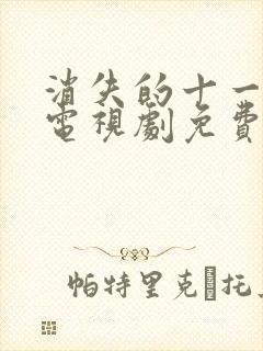 消失的十一层 电视剧免费封面