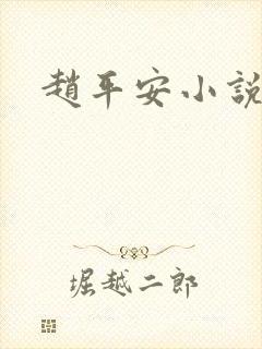 赵平安小说主角