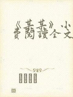 《某某》小说免费阅读全文