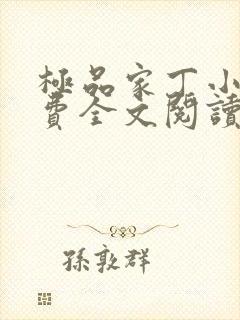 极品家丁小说免费全文阅读封面