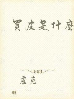 买皮是什么意思