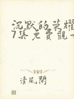 沉默的荣耀第27集免费观看