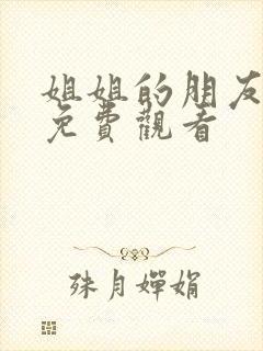 姐姐的朋友高清免费观看封面