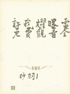 许我耀眼电视剧免费观看全集高清