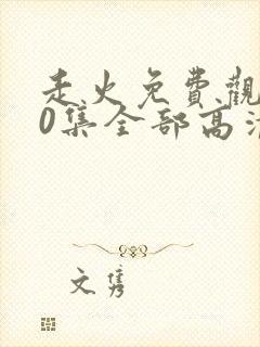 走火免费观看40集全部高清西瓜