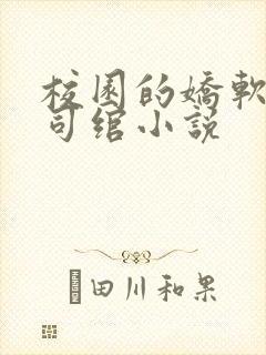 校园的娇软美人司绾小说封面