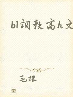 bl调教高h文