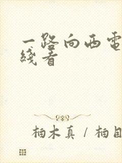 一路向西电影在线看