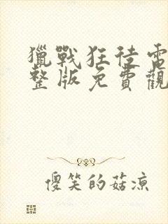 猎战狂徒电影完整版免费观看在线