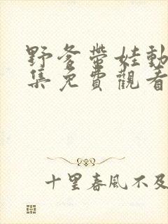 野爹带娃动漫全集免费观看封面