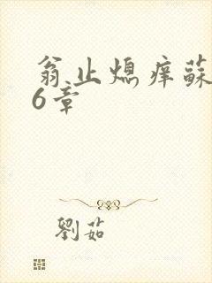 翁止熄痒苏玥第6章