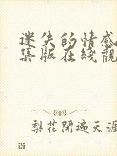 迷失的情感24集版在线观看封面