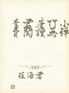 李君唐竹小说免费阅读无弹窗全文