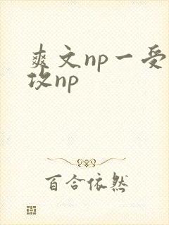 爽文np一受多攻np