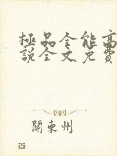 极品全能高手小说全文免费阅读下载