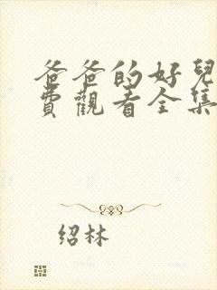 爸爸的好儿子免费观看全集