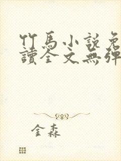 竹马小说免费阅读全文无弹窗