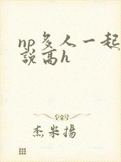 np多人一起小说高h