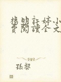 杨明许婷小说免费阅读全文最新章节封面