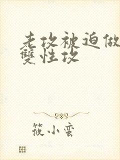 老攻被迫做零(双性攻