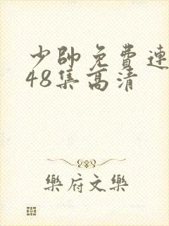 少帅免费连续剧48集高清封面