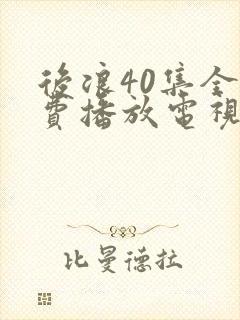 后浪40集全免费播放电视剧