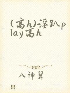 (高h)淫趴play高h