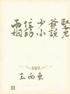 两位少爷坚持联姻的小说免费阅读