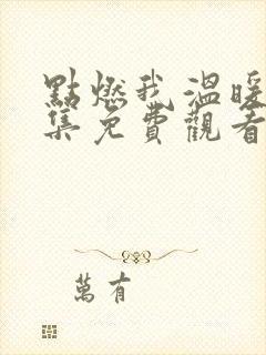 点燃我温暖你全集免费观看高清