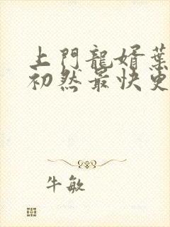 上门龙婿叶辰萧初然最快更新章节