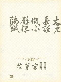 隔壁机长大叔是饿狼小说免费阅读