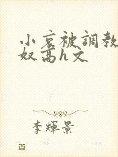 小哀被调教成肉奴高h文