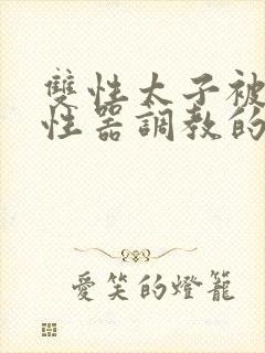 双性太子被各种性器调教的精彩小说