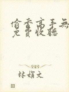 偷香高手无删减免费收听