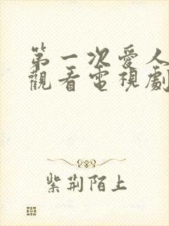 第一次爱人免费观看电视剧全集高清封面