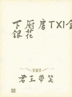 下厨房TXl金银花