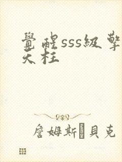 觉醒sss级擎天柱