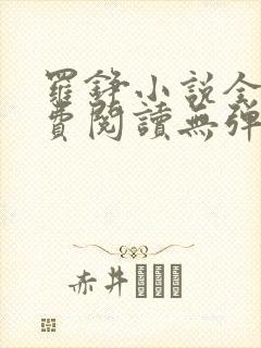 罗铮小说全文免费阅读无弹窗