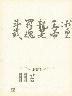 斗罗龙王:我的武魂是帝皇铠甲