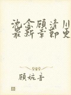 沈念顾清川小说最新章节更新内容分