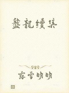 盘龙续集